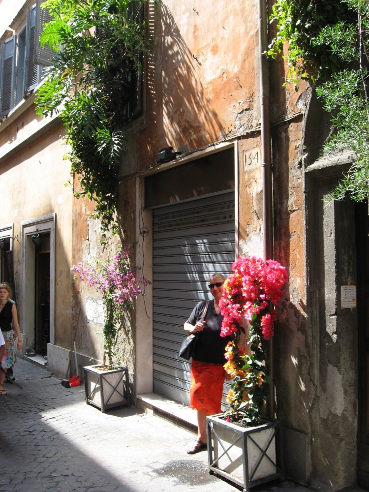 City tour of downtown Rome