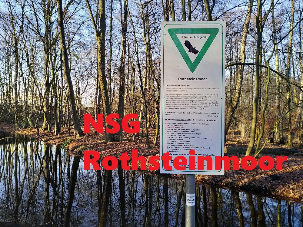 Rothsteinmoor Nature Reserve (HH – Langenhorn)