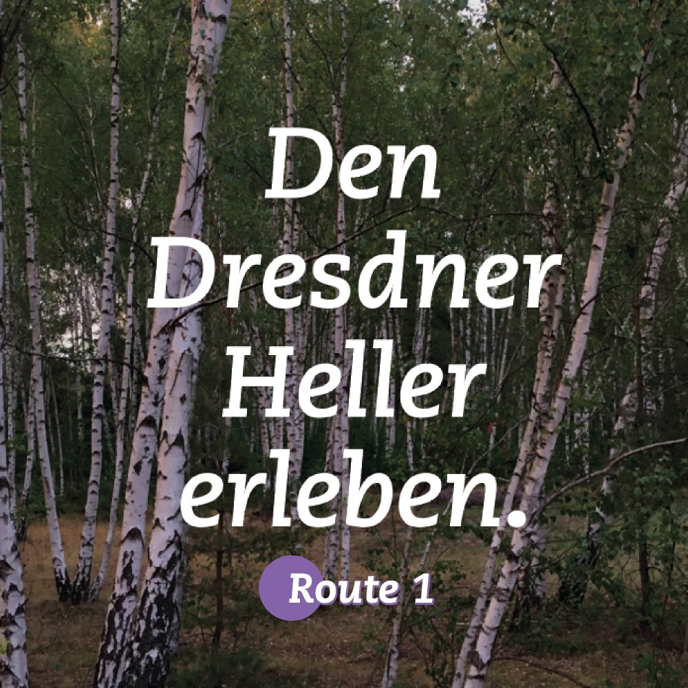 BRIGHTER EXPERIENCE | Route 1 | Part 2.1 | Settlement of the Heath Forest and Idea of the Garden City