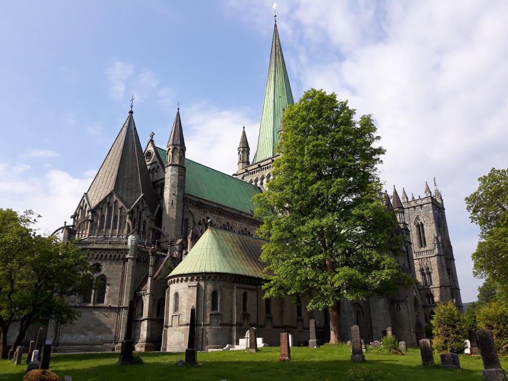 City tour Trondheim for cruise ship guests