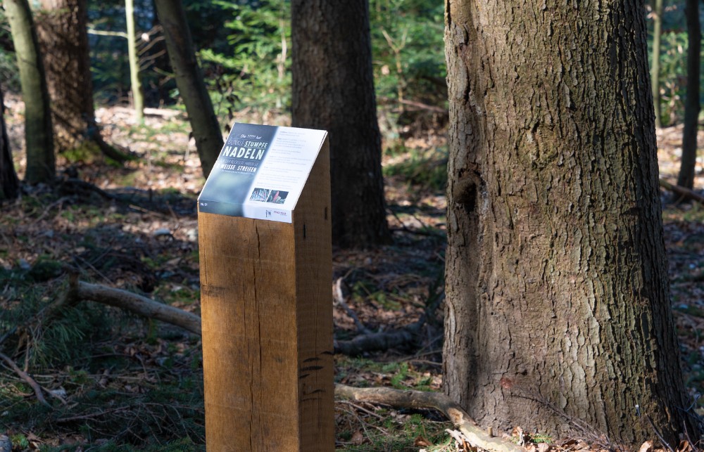 Children’s nature trail